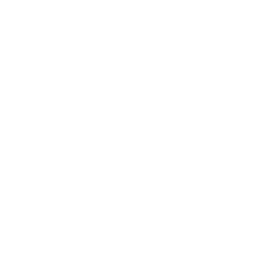 ana-maria.png